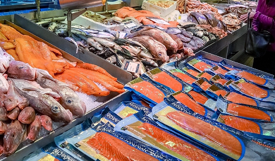 Especialistas dão dicas de peixes bons e baratos para a Semana Santa