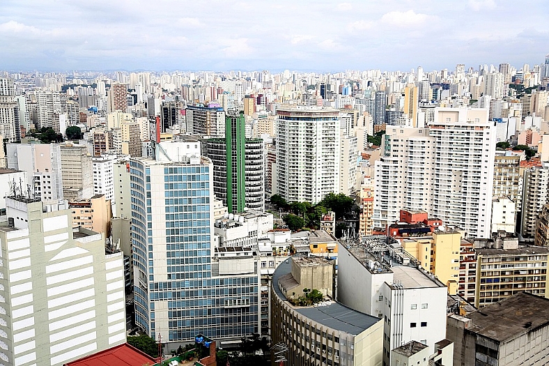 Prédios com vidraças nas cidades ameaçam aves, aponta pesquisa