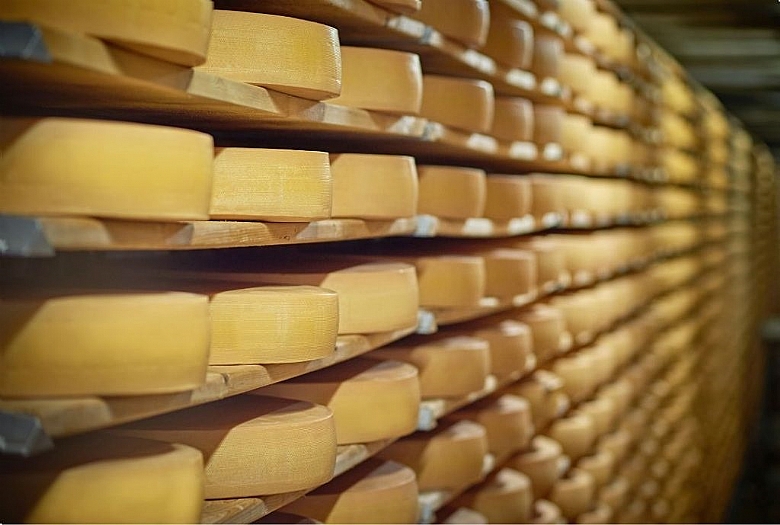 Programa Rota do Queijo Paulista abre inscrições para produtores