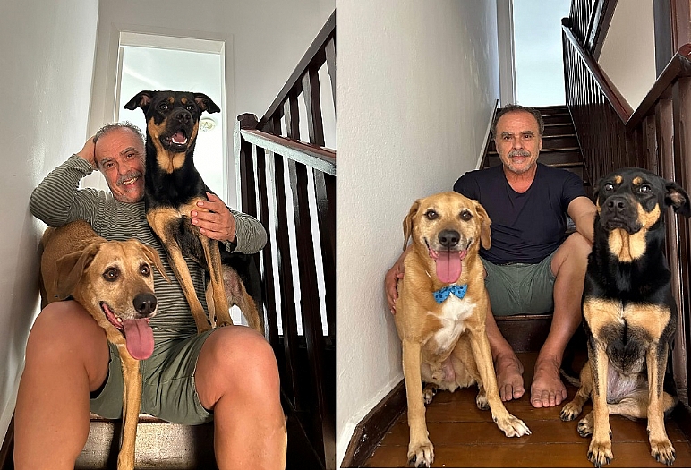 Livro conta histórias de cães a jacaré domesticados